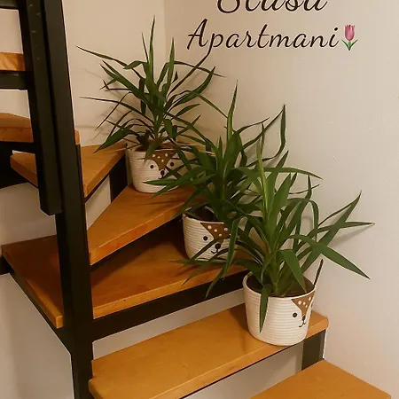 Stasa * 新帕扎尔