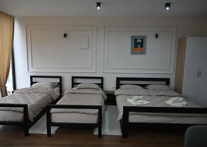 Stasa نوفي بازار