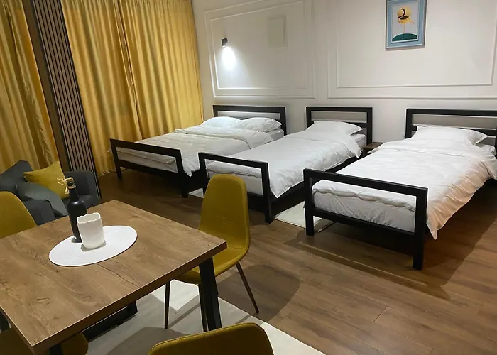 Stasa * نوفي بازار