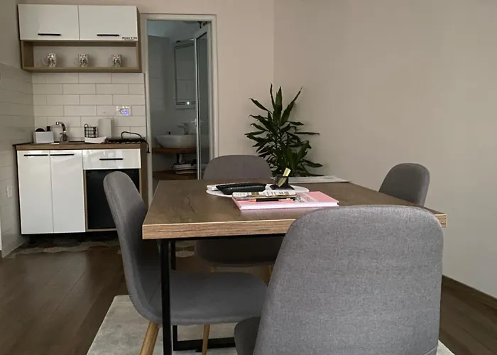 Stasa شقة نوفي بازار